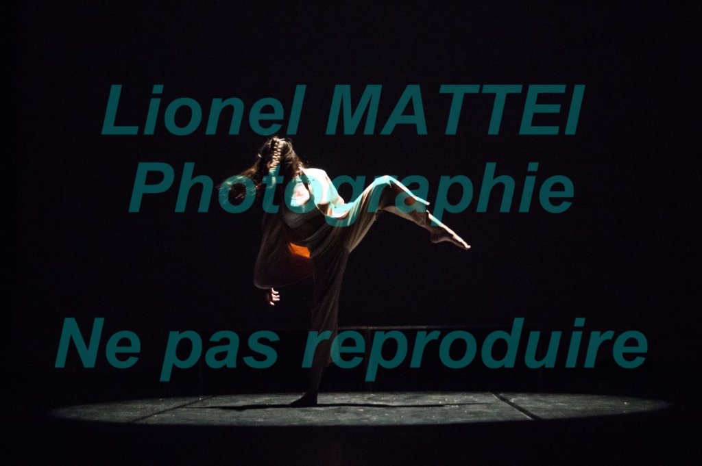 PHOTOS 180 à 259
Cliquez sur l'image pour accéder à cette série